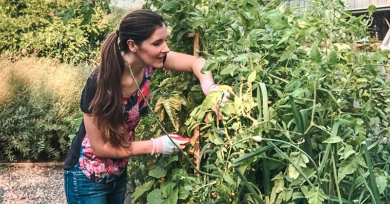 gardening hacks
