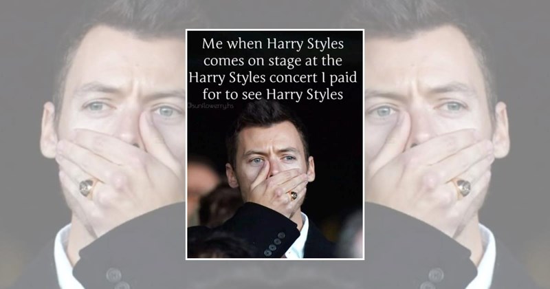 random fandom one direction fanboys harry styles memes harry styles boy band Funny Memes - 45400325