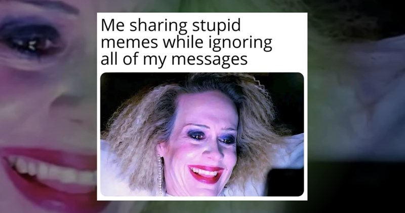 sunny funny memes positive
