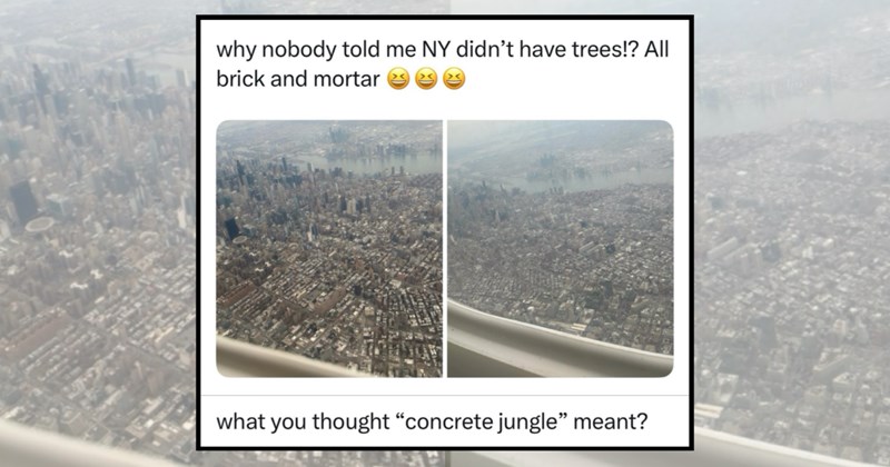 humor wholesome hilarious relatable memes relatable city funny memes Memes funny new york city Funny Memes - 45404677