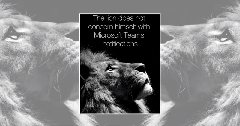 lions funny lion memes lion memes wholesome animal memes relatable animal memes Animals - 45409285