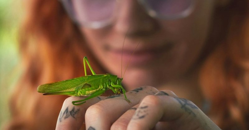 crickets satisfying petty revenge ex wife uno reverse divorce family breakup ex husband butter milk Witty Women - 45411333
