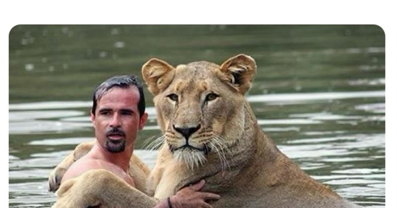humor laughs tigers bears cute comedy wildlife funny animals frogs Animals - 45415429