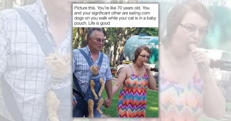 31 cat memes | Thumbnail includes one meme including ‘Picture this. You’re like 70 years old. You and your significant other are eating corndogs on you walk while your cat is in a baby pouch. Life is good’