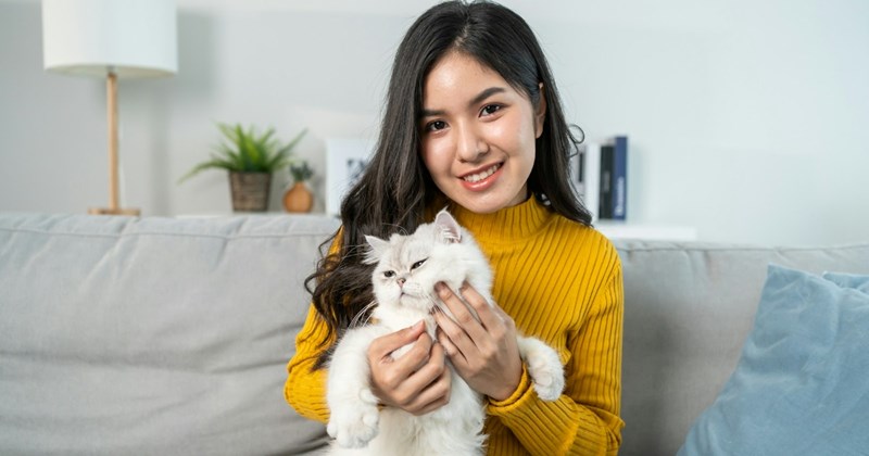 roommate drama bad roommate sick cat vet Cats entitled people Entitled People - 45420805