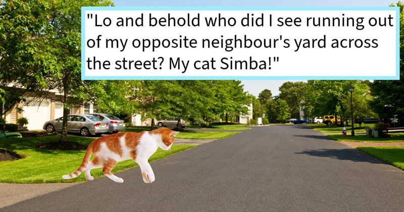 Cat suspected stolen, returns home looking well fed after three years away from pawrents feline brother after being spotted across road, cat pawrent says: ‘We had already experienced one set neighbours trying steal both our cats.’ | thumbnail includes one image which shows an orange and white cat crossing a suburban tree lined street ‘“Lo and behold who did I see running out of my opposite neighbor’s yard across the street? My cat Simba!”’