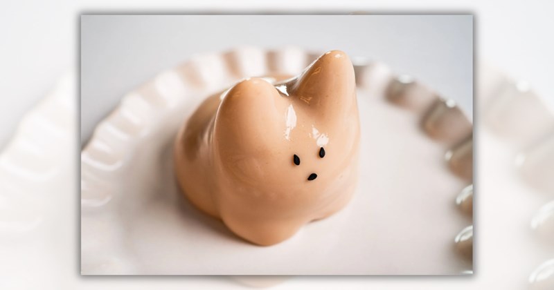 21 pictures of food shaped like cats | Thumbnail includes one picture of a jiggly cat jelly dessert 