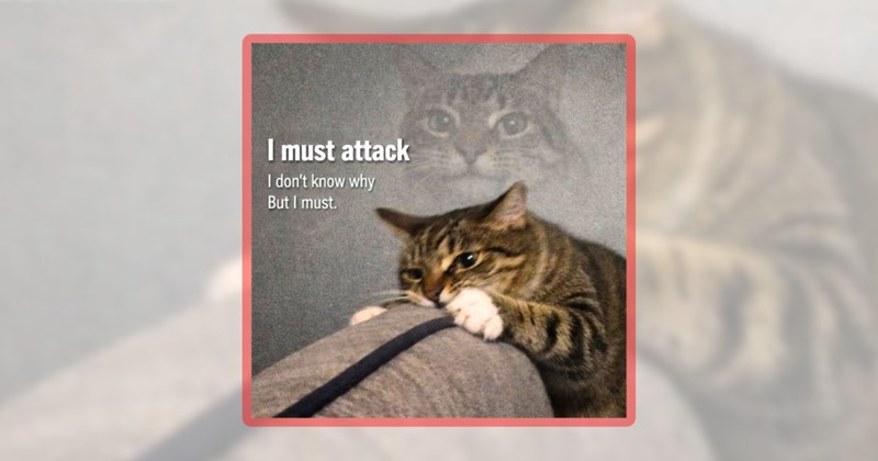 33 cat memes | thumbnail includes one meme including 'I must attack I don't know why But I must.'