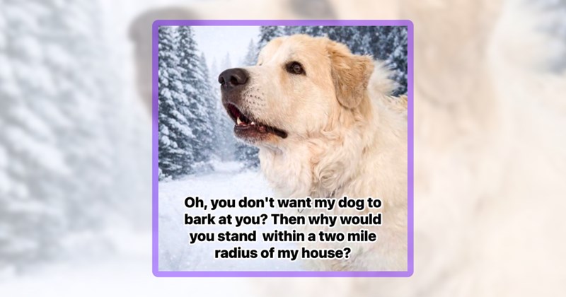 30 dog memes | thumbnail includes one meme including 'Oh, you don't want my dog to bark at you? Then why would you stand within a two mile radius of my house?'