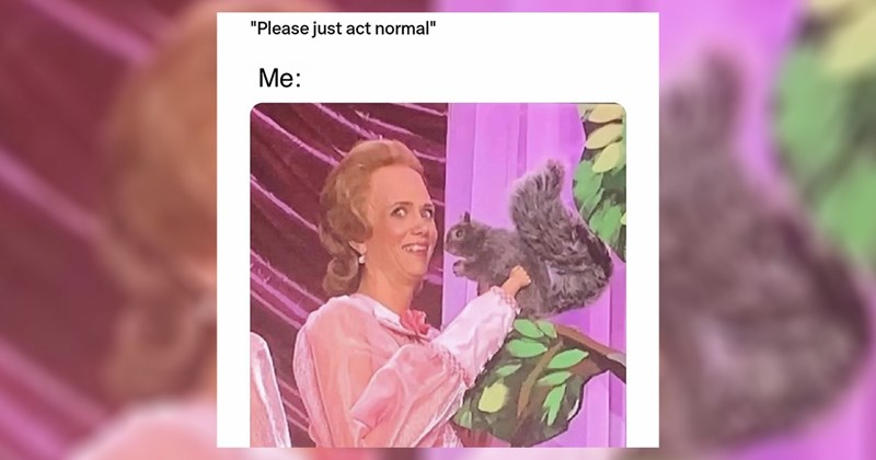 relatable memes work memes dog memes random memes silly memes funny memes twitter memes meme silly animal memes funny Funny Memes - 45435397
