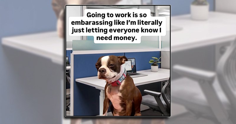 everyday memes