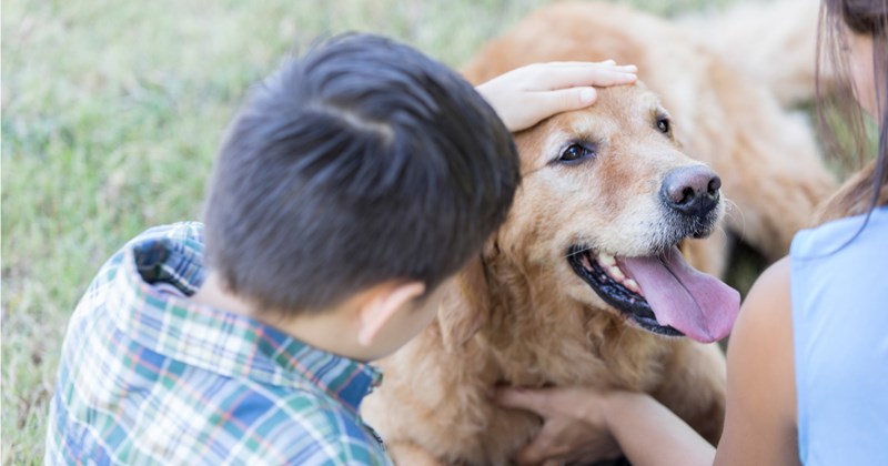 dog dogs mom toddler cute