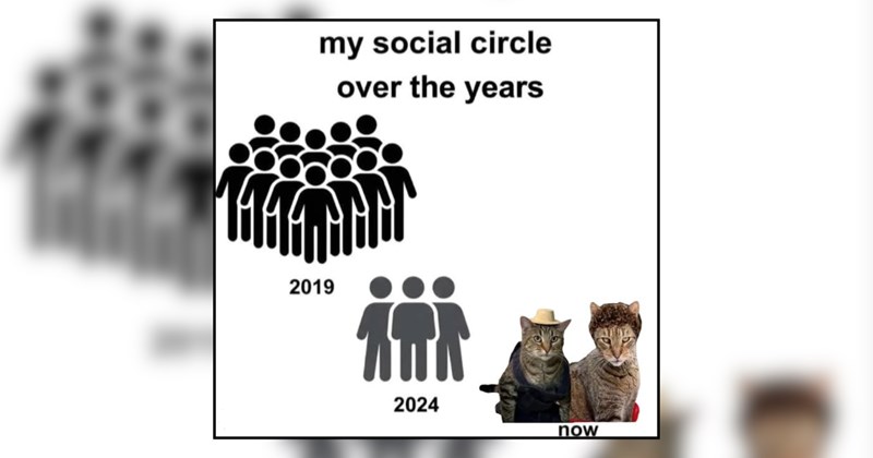 'Introverted but willing to talk to cats': 26 Memes to Relate to When You're Done With Hoomans