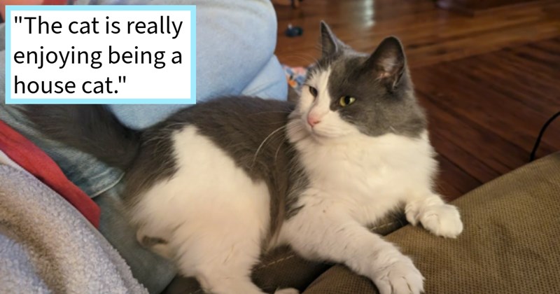 Neglected cat left freeze outside forgetful family over Christmas saved adopted cat loving neighbor who couldn’t let her suffer through winter temps alone, rescuer says: At this point think we're in clear  just have new cat. | thumbnail includes one image which shows a black and white cat sitting on person’s lap ‘“The cat is really enjoying being a house cat.”’