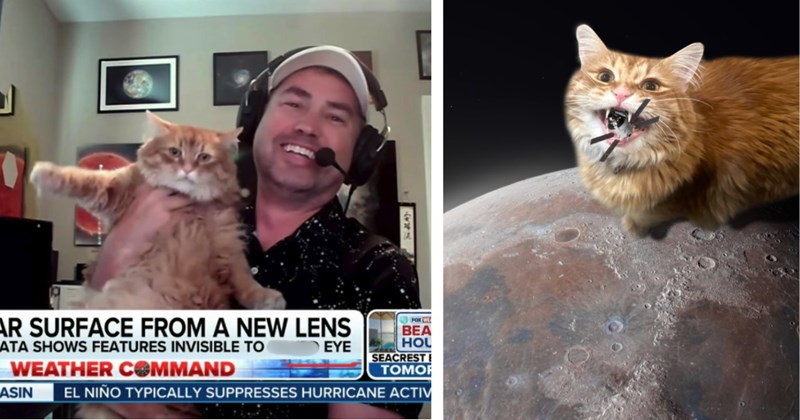 Pictures of Gregory the cat and astrophotography | Thumbnail includes one picture of a man holding Gregory including ‘AR SURFACE FROM A NEW LENS ATA SHOWS FEATURES INVISIBLE TO WEATHER COMMAND FOX WE BEA EYE HOL SEACREST ΤΟΜΟΙ ASIN EL NIÑO TYPICALLY SUPPRESSES HURRICANE ACTIV 7247’ and one picture of an orange cat eating a satellite