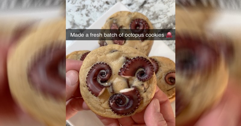 cooking food memes funny memes Memes gross food food cooking memes funny Funny Memes - 45495301