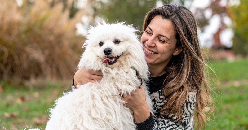 parents parenting drama dog 