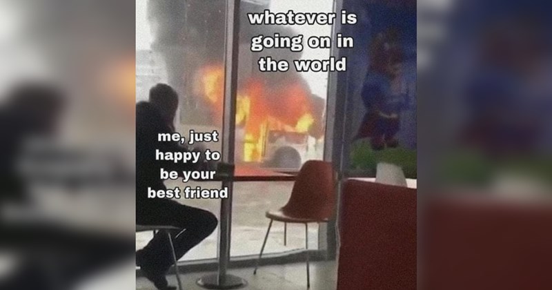 Heartwarmingly Wholesome Memes and Posts