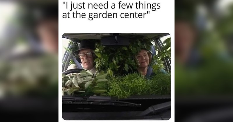 plant memes gardening plants funny memes Funny Memes - 45520133