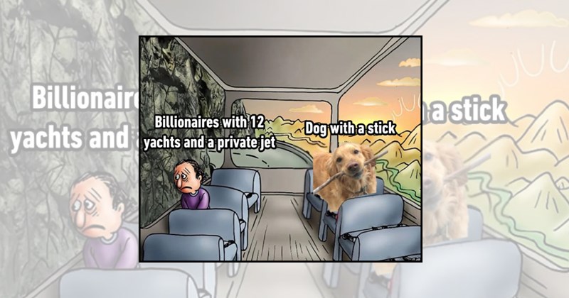 dog memes funny dog memes funny dogs doggo memes Doggos - 45521669