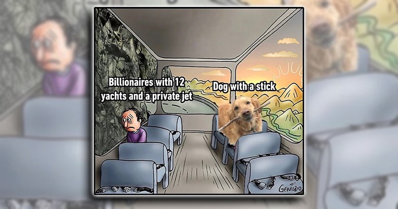 humor wholesome dogs pet parents pets puppy doggo comedy family funny animals Doggos - 45527813