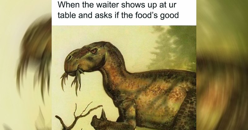 reptiles Memes science funny animals dinosaurs Funny Memes - 45528837