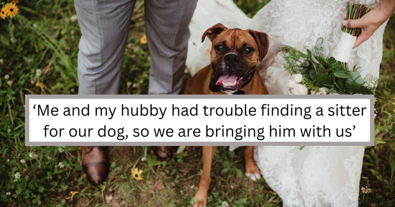 Story of 29-year-old maid of honor trying to bring her dog to best friend's wedding | Thumbnail includes a model representation of a a dog at a wedding ceremony, and one picture of text including '‘Me and my hubby had trouble finding a sitter for our dog, so we are bringing him with us’'