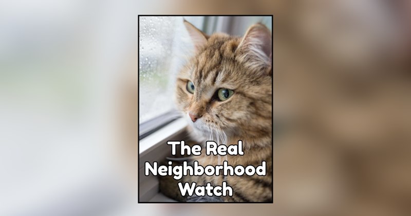 29 cat memes | thumbnail includes one meme and one picture of text including 'The Real Neighborhood Watch' 