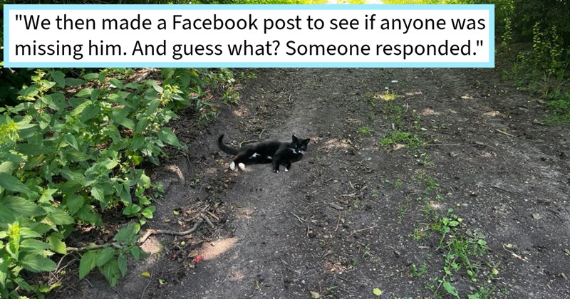 Cat loving couple finds cat child who went missing 3 years ago construction site arrange tearful reunion his family 8km away from where he was found, rescuer says:’These past two days were some best of my life.’ | thumbnail includes one image which shows a a black cat with white hind socks lying on a dirt path in forest ‘“We then made a Facebook post to see if anyone was missing him. And guess what? Someone responded.”’