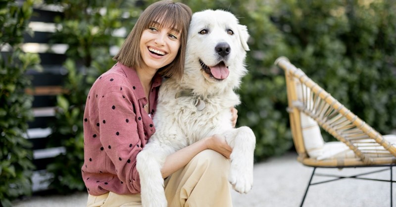 dogs sister drama vet bill dog sitter Family - 45561605