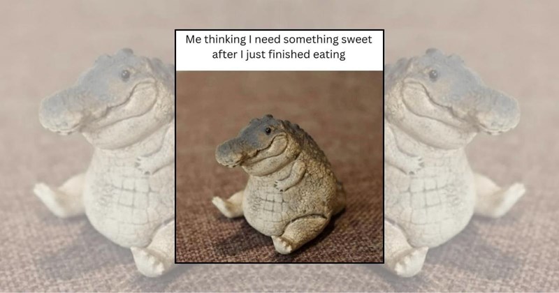 Sweet Treats food memes funny memes sweet tooth Funny Memes - 45562629
