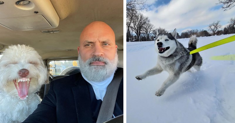 21 Deeply Happy Dog Pics Tail Wagger Weekend | thumbnail includes two images one image shows a white dog laughing next to serious bald man in car, the other image shows husky running through deep snow smiling on yellow leash