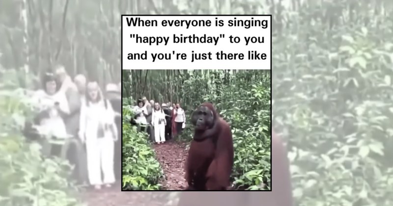 birthday memes happy birthday memes birthday present Funny Memes - 45566213