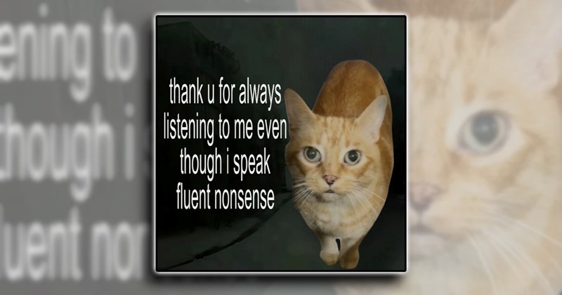 humor thank you appreciation thankful comedy funny Self-Improvement - 45572613