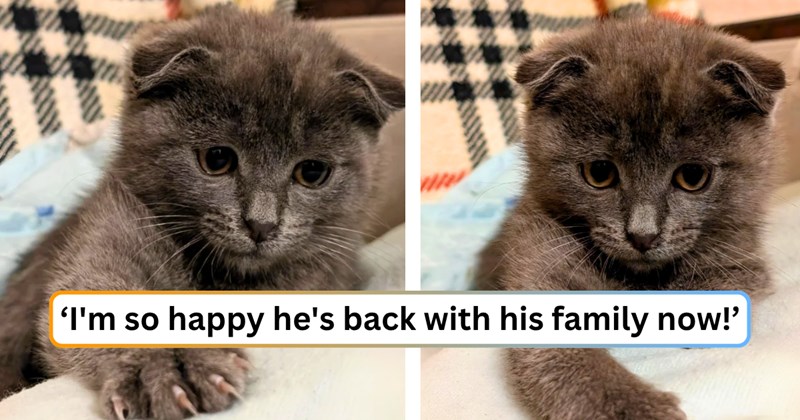 18 text pictures, 2 cat pictures | thumbnail includes two pictures of a cat, and ‘I'm so happy he's back with his family now!’