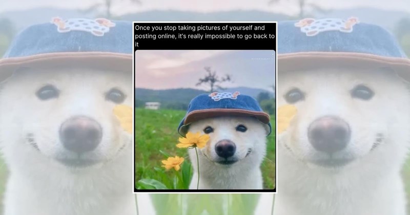 cute animals soft animal memes wholesome animal memes Animals - 45580293