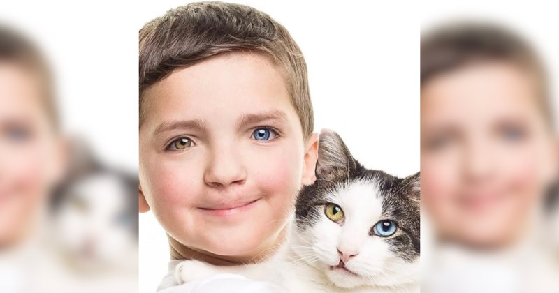 Story of a 7-year-old boy adopting a cat that looks like him | Thumbnail includes one picture of a 7-year-old boy and cat with heterochromia and cleft lip