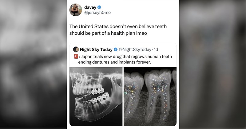 women tweets funny memes relatable tweets tweets funny parenting tweets viral funny tweets trending tweets parenting tweets animal tweets random tweets Chronically Online - 45617925