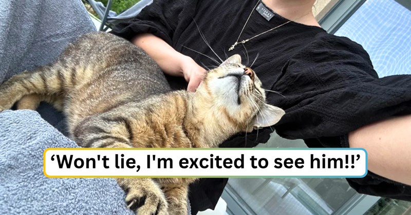 30 text pictures, 3 cat and woman pictures | thumbnail includes one picture of a cat and a woman, and ‘Won't lie, I'm excited to see him!!’