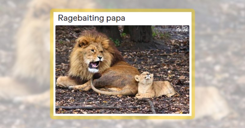33 animal memes | thumbnail includes one meme including 'Ragebaiting papa'