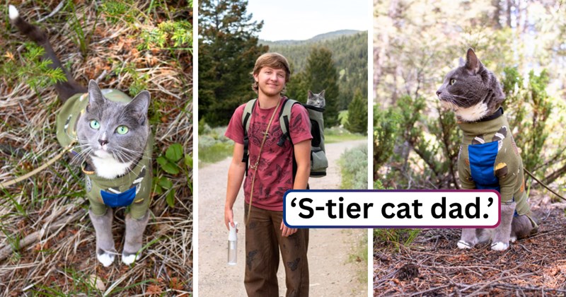 15 text pictures, 5 cat pictures, 1 cat and man picture | thumbnail includes two cat pictures, one picture of a cat and a man, and ‘S-tier cat dad.’