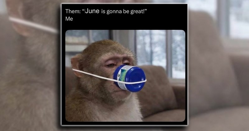springtime humor spring summer cold hay fever comedy health cold flu sick funny Funny Memes - 45660421