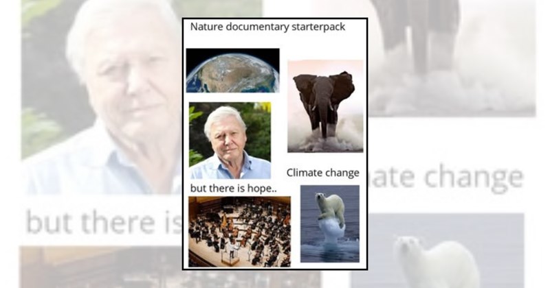 behind the scenes national geographic memes Animals nature photography nature documentary memes - 45663237