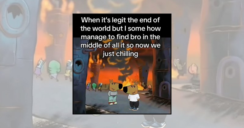 relatable memes funny memes chill guy memes just a chill guy Funny Memes - 45665797