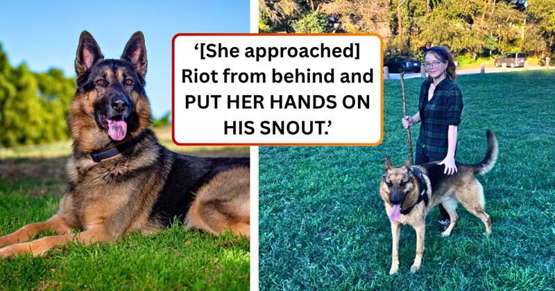 39 text pictures, 4 german shepherd pictures, 4 woman and dog pictures | thumbnai lincludes one german shepherd picture, one woman and dog picture, and ‘[She approached] Riot from behind and PUT HER HANDS ON HIS SNOUT.’