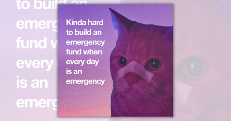 25 cat memes | Thumbnail includes one meme including 'Kinda hard to build an emergency fund when every day is an emergency angiyawn'