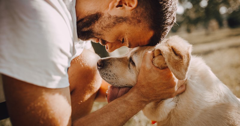 Dog lover considers breakup with girlfriend for 'tolerating' his dog instead of loving him, internet backs him up: 'It would be a deal breaker'