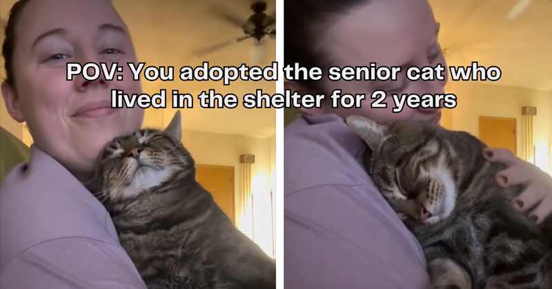 Video of woman embracing adopted senior cat | Thumbnail includes two pictures of a woman holding a senior cat and one picture of text including 'POV: You adopted the senior cat who lived in the shelter for 2 years'