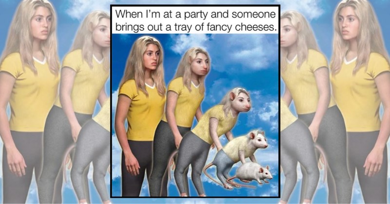 humor wholesome hilarious relatable memes relatable funny memes Memes funny Funny Memes - 45682949