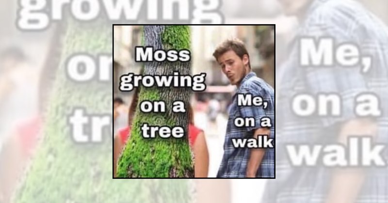mother nature nature lover nature memes Funny Memes - 45683717